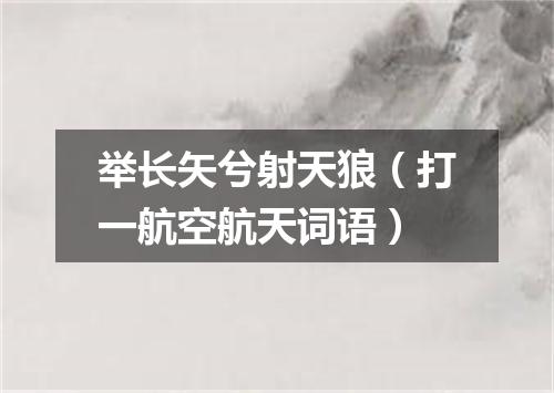 举长矢兮射天狼（打一航空航天词语）