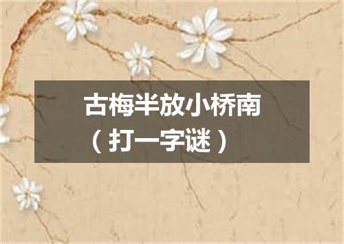 古梅半放小桥南（打一字谜）