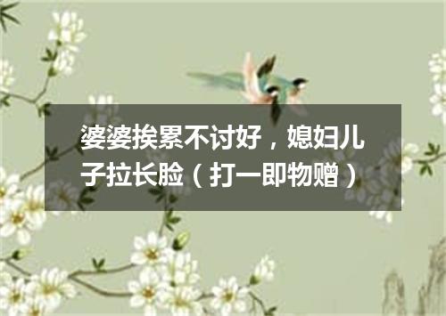 婆婆挨累不讨好，媳妇儿子拉长脸（打一即物赠）