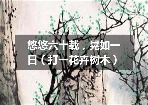悠悠六十载，晃如一日（打一花卉树木）