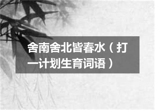 舍南舍北皆春水（打一计划生育词语）