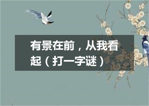 有景在前，从我看起（打一字谜）