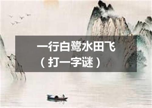 一行白鹭水田飞（打一字谜）