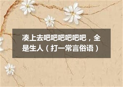 凑上去吧吧吧吧吧吧，全是生人（打一常言俗语）