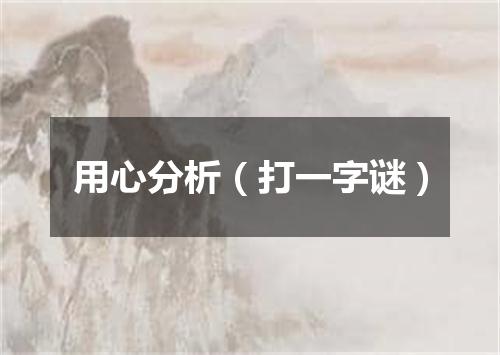 用心分析（打一字谜）