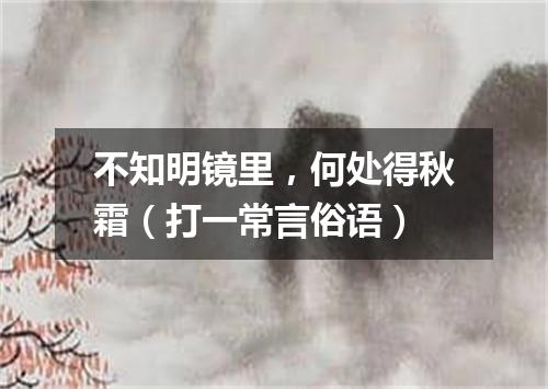 不知明镜里，何处得秋霜（打一常言俗语）