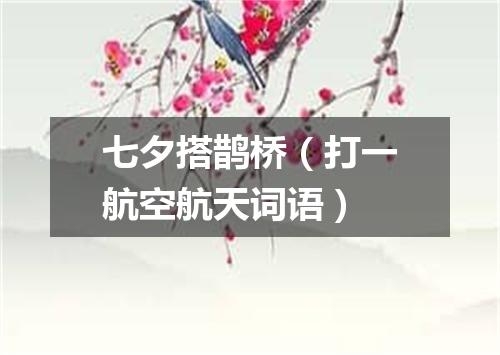 七夕搭鹊桥（打一航空航天词语）
