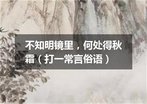 不知明镜里，何处得秋霜（打一常言俗语）