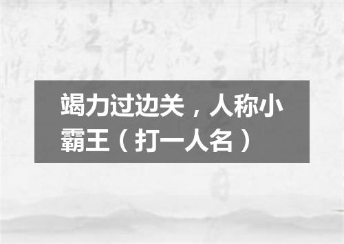 竭力过边关，人称小霸王（打一人名）