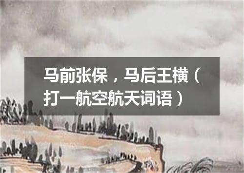 马前张保，马后王横（打一航空航天词语）
