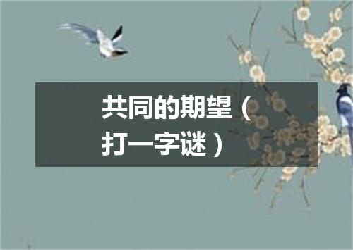 共同的期望（打一字谜）