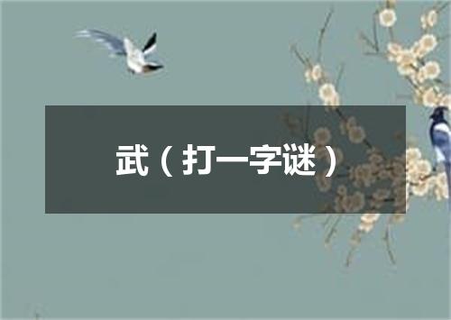 武（打一字谜）