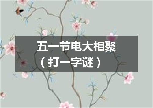 五一节电大相聚（打一字谜）