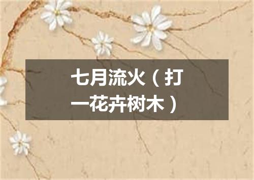 七月流火（打一花卉树木）