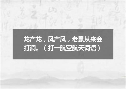 龙产龙，凤产凤，老鼠从来会打洞。（打一航空航天词语）