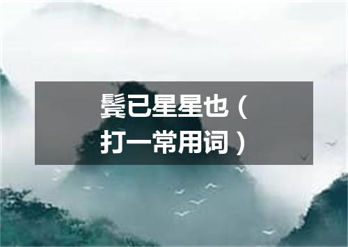 鬓已星星也（打一常用词）