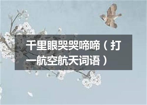 千里眼哭哭啼啼（打一航空航天词语）