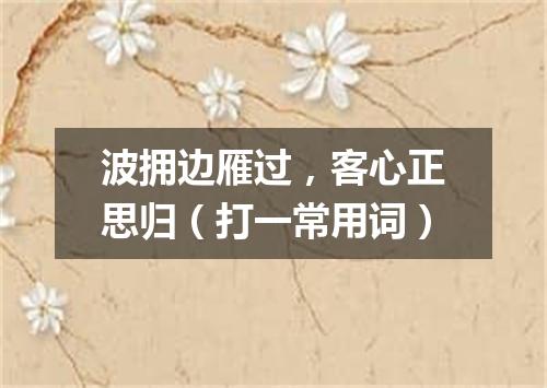 波拥边雁过，客心正思归（打一常用词）