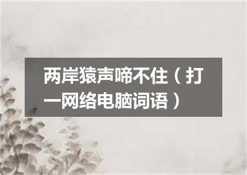 两岸猿声啼不住（打一网络电脑词语）