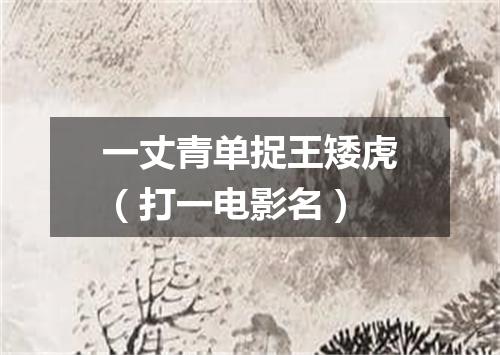 一丈青单捉王矮虎（打一电影名）