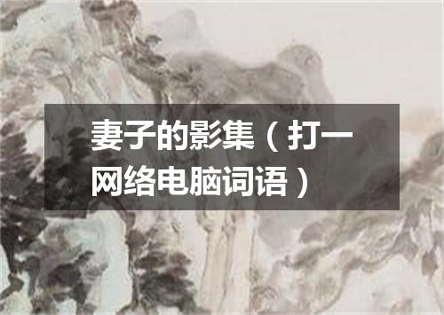 妻子的影集（打一网络电脑词语）