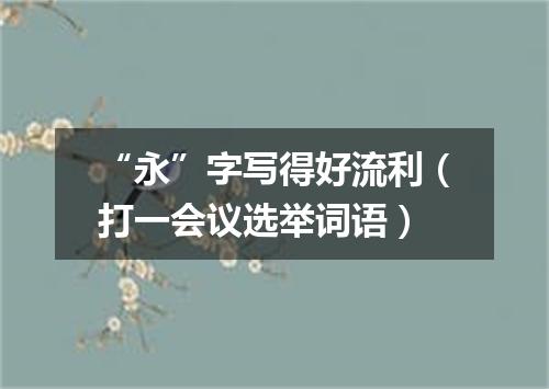 “永”字写得好流利（打一会议选举词语）