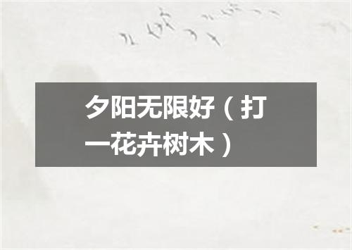 夕阳无限好（打一花卉树木）