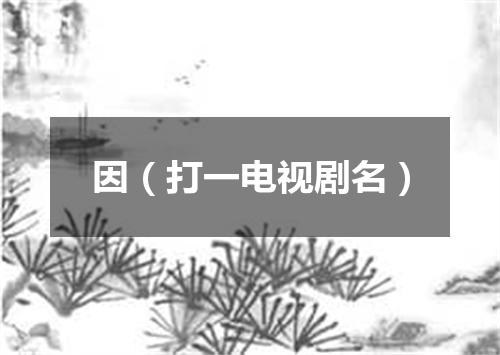 因（打一电视剧名）