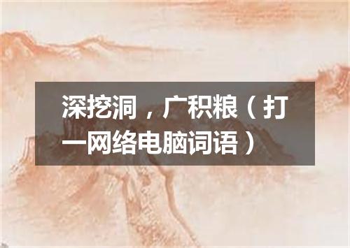 深挖洞，广积粮（打一网络电脑词语）