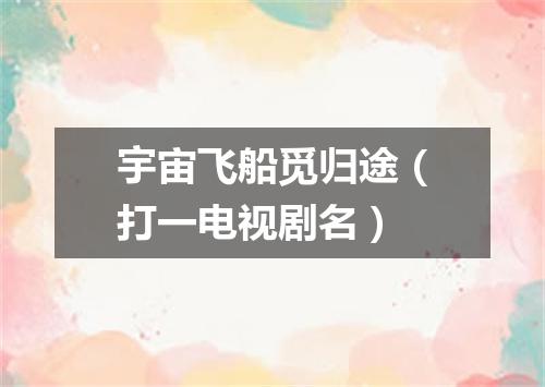 宇宙飞船觅归途（打一电视剧名）