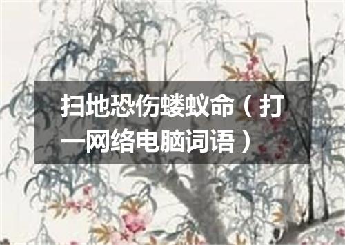 扫地恐伤蝼蚁命（打一网络电脑词语）