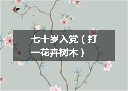 七十岁入党（打一花卉树木）