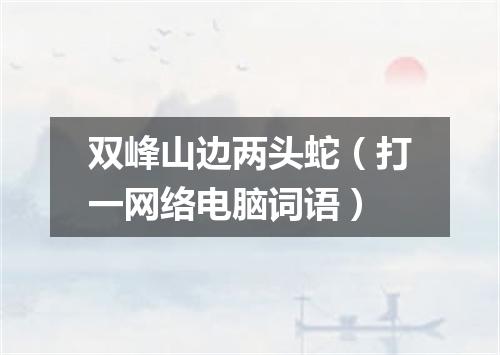 双峰山边两头蛇（打一网络电脑词语）