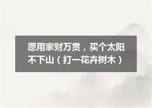 愿用家财万贯，买个太阳不下山（打一花卉树木）