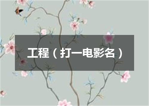 工程（打一电影名）
