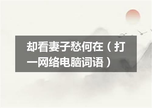 却看妻子愁何在（打一网络电脑词语）