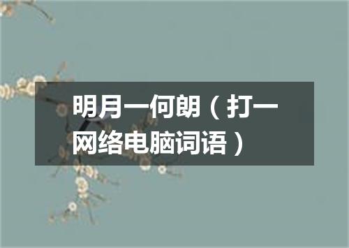 明月一何朗（打一网络电脑词语）