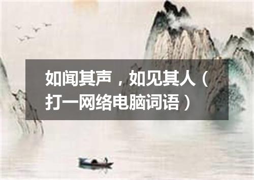 如闻其声，如见其人（打一网络电脑词语）