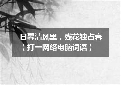 日暮清风里，残花独占春（打一网络电脑词语）