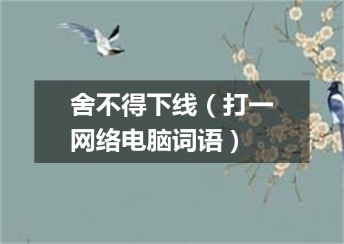 舍不得下线（打一网络电脑词语）