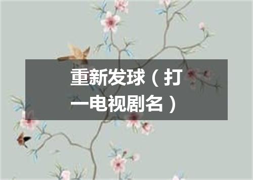 重新发球（打一电视剧名）