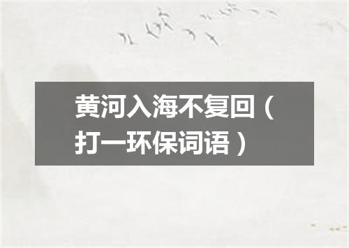 黄河入海不复回（打一环保词语）