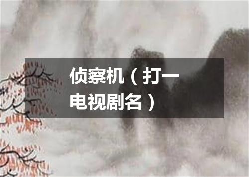 侦察机（打一电视剧名）