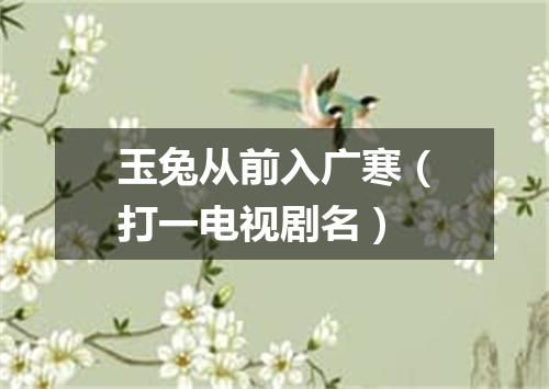 玉兔从前入广寒（打一电视剧名）