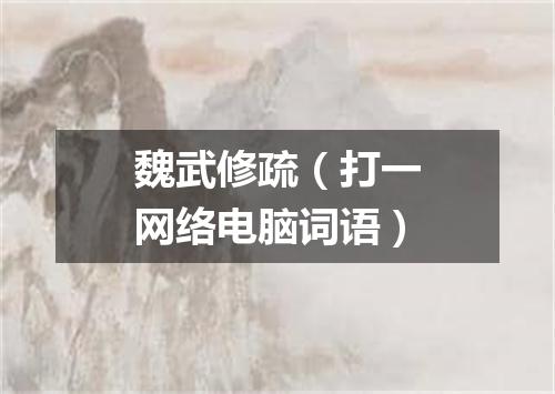 魏武修疏（打一网络电脑词语）