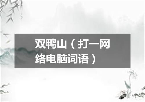 双鸭山（打一网络电脑词语）