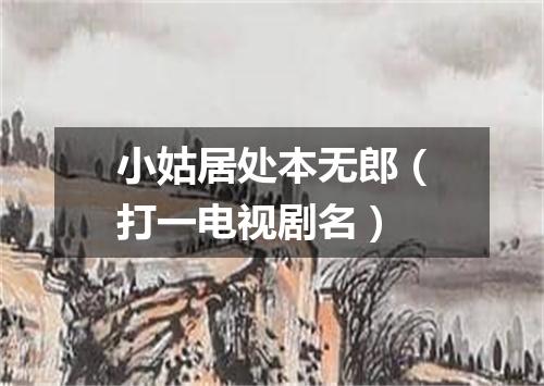 小姑居处本无郎（打一电视剧名）