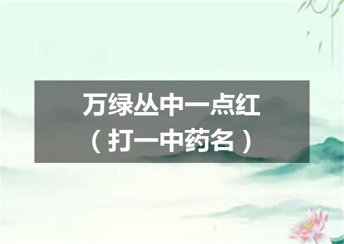 万绿丛中一点红（打一中药名）