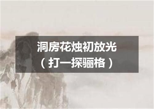 洞房花烛初放光（打一探骊格）