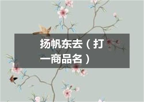 扬帆东去（打一商品名）